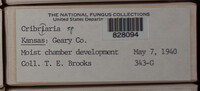 Image Associated With the Occurence